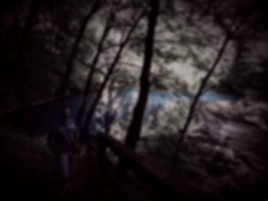 A very blurred imaged of a woodland pond, used to illustrated how some, visually impaired, people may see a typical holiday photo.