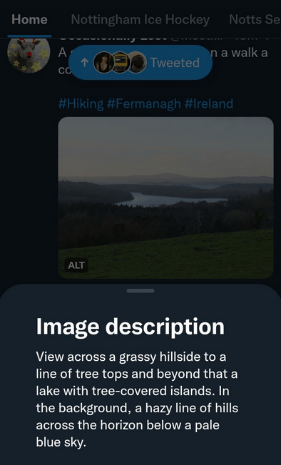 An example of a tweet featuring a landscape photo and the accompanying alt text. The alt text says "Image description: View across a grassy hillside to a line of tree tops and beyond that a lake with tree-covered islands. In the background, a hazy line of hills across the horizon below a pale blue sky."