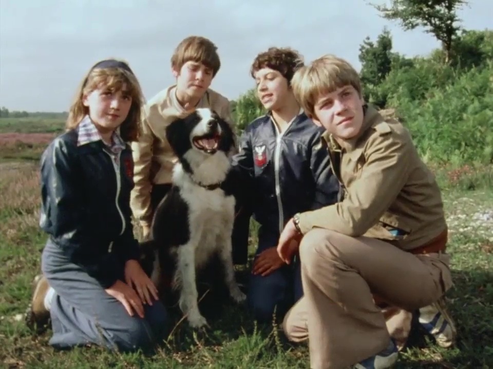 A color photo shows the four child actors from the 1970s Famous Five television series, along with their dog, Timmy.  The children are kneeling in a grassy field, smiling at the camera.  Timmy, a black and white border collie, sits in the center.