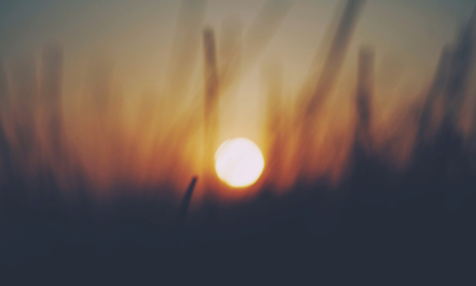 Soft-focus photograph of a sunset or sunrise with the sun glowing near the center of the frame. Tall grass or plant stems appear blurred in the foreground, silhouetted against a sky that shifts from warm orange and yellow near the horizon to cooler blue tones above, creating a serene and atmospheric effect.